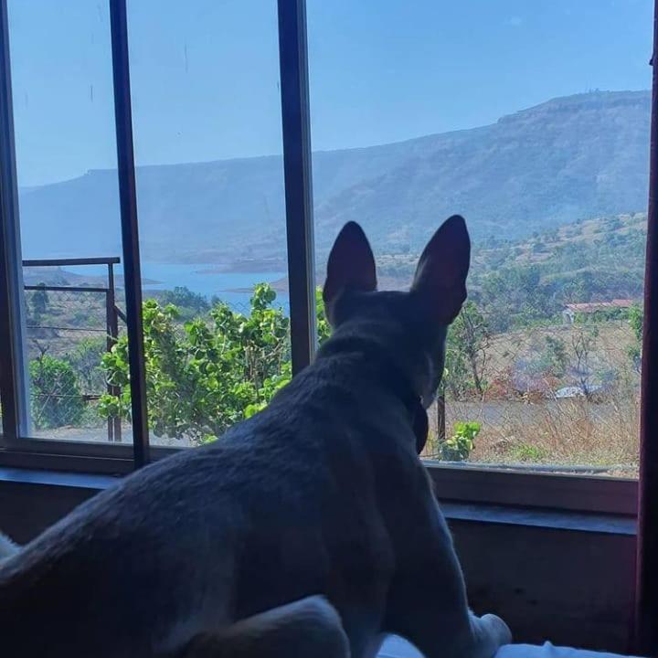 Mysticstays Resort Wai Екстериор снимка